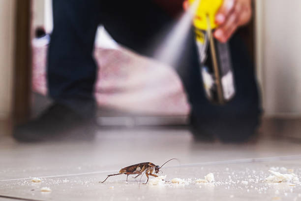 Pest Control Cost in Winterville, NC